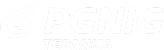 PGNiG